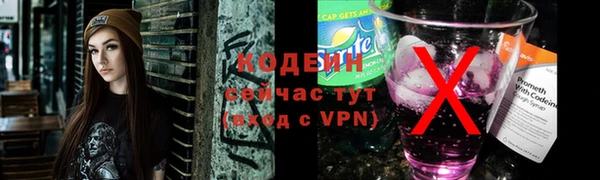 ПСИЛОЦИБИНОВЫЕ ГРИБЫ Дмитриев