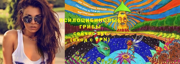 mdma Дмитров