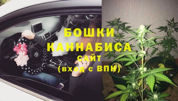 ПСИЛОЦИБИНОВЫЕ ГРИБЫ Дмитриев