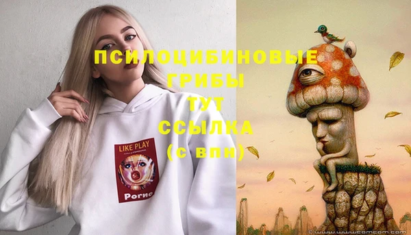 МДМА Дмитровск
