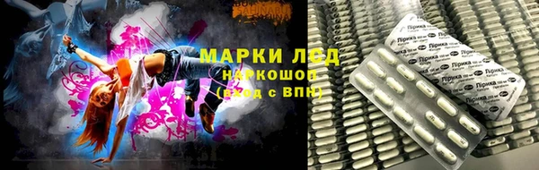 ПСИЛОЦИБИНОВЫЕ ГРИБЫ Дмитриев