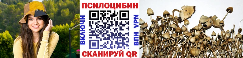 Галлюциногенные грибы прущие грибы закладка площадка телеграм Серпухов